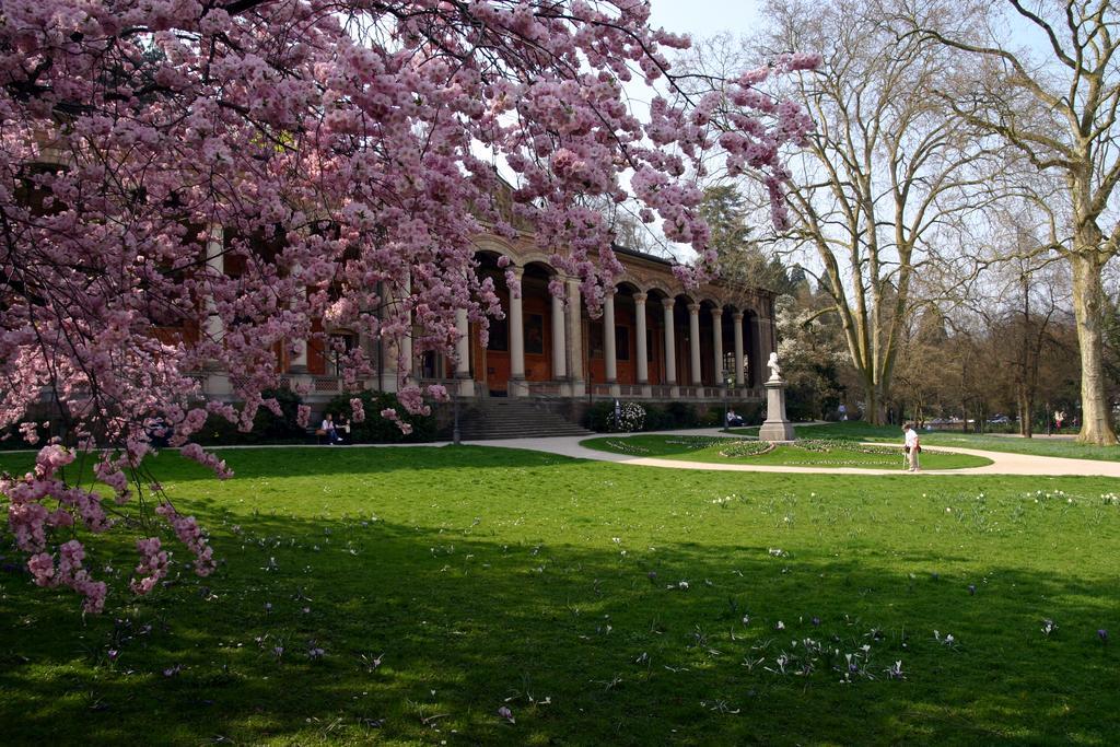 Apparthaus Pfeifer Baden-Baden Kültér fotó